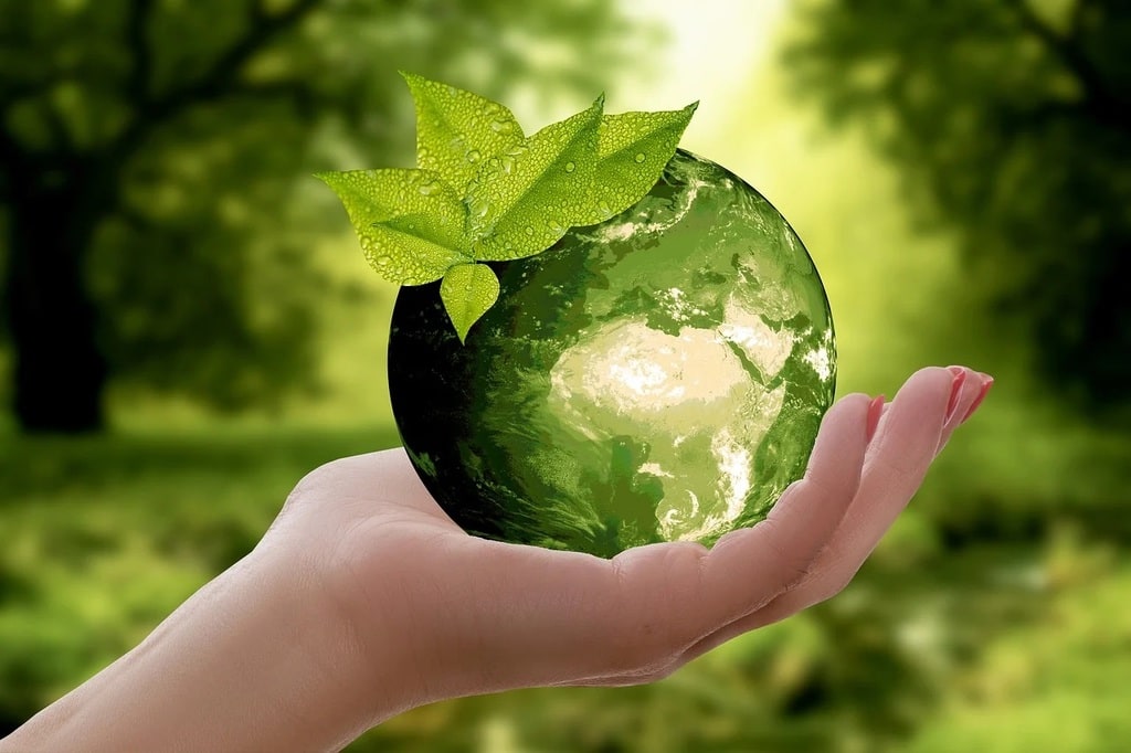 Choisir Ecologica une école dédiée à la transition écologique à Lyon